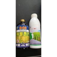 Basagran siam + pyzero china untuk rumput dalam bendang...cuci keladi / padi burung / sambau