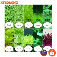 Aquarium Plant Seeds