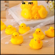 5 ADORABLE PUMPKIN DUCKS FOR DOGS AND CATS
