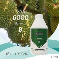 XYA 6000 (B) Boron Booster 1 LITER