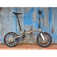 Fnhon Gust 16inch size 349 Folding Bike