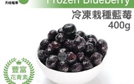 【天時莓果 冷凍栽種藍莓 400g/包】新鮮急凍直送 安心食用無添加