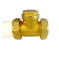 PPR Check Valve PPR Brass Check Valve Double Headed Double Hot Melt Check Valve Check Valve Double U