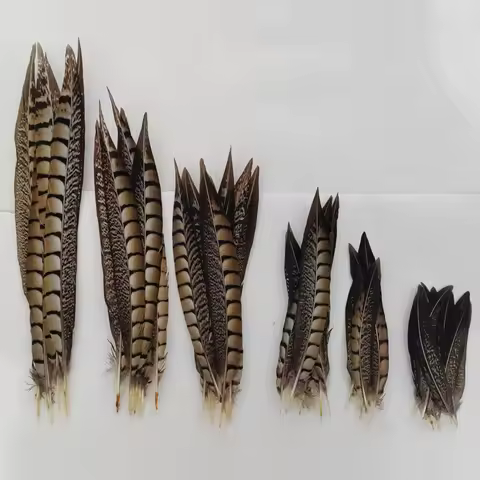10Pcs/Lot 10-18cm Lady Amherst Pheasant Tail Feathers Wholesale Loose Feathers DIY Jewelry Stage Per