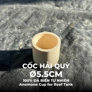 Anemone Cup Ø5.5cm Natural Sea Stone – Anemone Cup Supports Reef Penishment