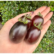 [5 + 1] Black Grape Tomato Seeds |Sweet And Sour Taste Dark Purple And (20-25 Seeds)