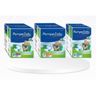 Pamperindo Adult Diapers Adhesive M8, L7, XL6 (Adult Diapers)