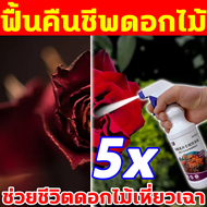 🌹คืนความสวยงามของดอกไม้🌹ปุ๋ยกุหลาบ 500ml ปุ๋ยใส่กุหลาบ ปุ๋ยเร่งดอก เร่งดอก สามารถส่งเสริมรากให้แข็งแ