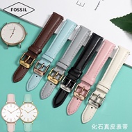 Suitable for Fossil Fossil Genuine Leather Watch Strap Women's Watch Chain First Layer Cowhide Pin B