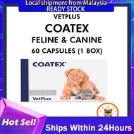 VetPlus COATEX EFA® Skin Supplement for Dog Canine Cat Feline 60 Capsules (1 Box)