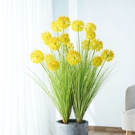 Simple Plant Dandelion Props Handle Bundle Fake Potted Plant Photography Simulation Flower Nordic Si