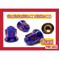 (Stainless Steel Color Not Image Color) Female Nut 8 Gear Head H2