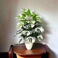 Monstera daun 18 jumbo artificial / monstera variegatta