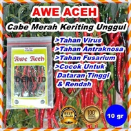 jiu Benih Cabe Awe Aceh Bibit CMK Cabai Merah Keriting 10 Gram