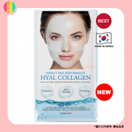 DERMAFiX - Dermafix 膠原蛋白凝膠面膜｜透明質酸 (8片) Hyal Collagen【平行進口】8809864758759