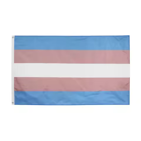 Hanging 90*150cm LGBT Transgender Pride Flag for Decoration