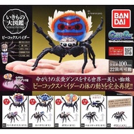 [สินค้าพร้อมส่ง] กาชาปองแมงมุมนกยูง Gashapon Bandai Dango Mushi Peacock Spider Action V.01