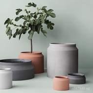 High-Value Cement Money Tree Flower Pot Creative Planter Nordic Large Floor Simple Internet Celebrit