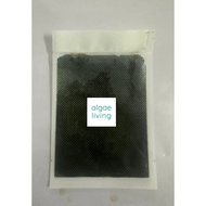 Algae Living 500g Nannochloropsis Paste - food for aquaculture (baby shrimp, fish larvae,shellfish a