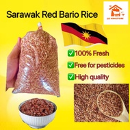 Sarawak Red Bario Rice /Beras Bario Merah/ 砂拉越巴厘欧红米