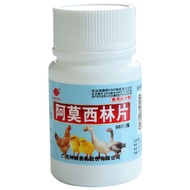 Amosilin Tablets Cat Nasal Bronchitis Cough Cold Anti-Inflammatory Pet Dog Cold Cough Treatment Cat 