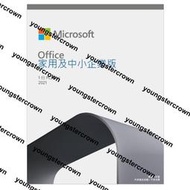 【精品】【酷3C】微軟 Microsoft Office 2021 中小企業版盒裝  PKC中文 家用及中小企業版 文書