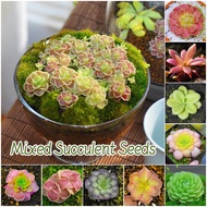 [Fast Germination] 70pcs Succulent Seeds Mix Flower Seeds for Planting Flowering Plants Seeds Garden