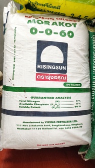 ปุ๋ยรุ่งอรุณ 0-0-60