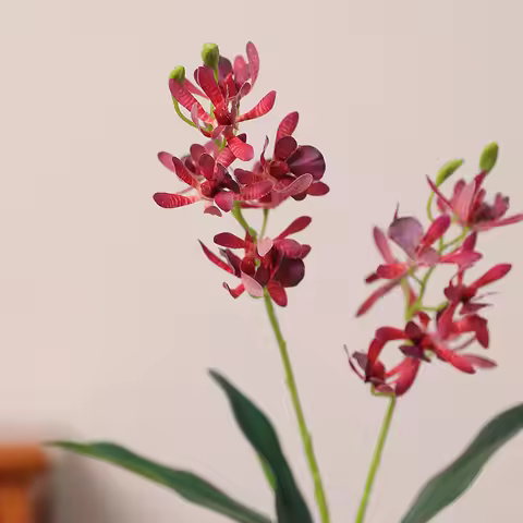 53CM Artificial Perfume Milan Orchid Hotel with Leaves Flower Art Landscaping Flower Arrangement Mat