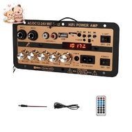 Fiber Input Amplifier 900W 12V/24V/220V Digital Bluetooth Stereo Amplifier Board Subwoofer D50 D30