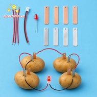 PICESTADIO Fruit Battery Science Experiment Kit, Potato Powered STEM Experiment Kit Electricity Expe