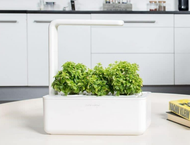 Click and Grow nutrient