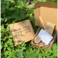 ESR Mini Seed Box (Assorted Choices)
