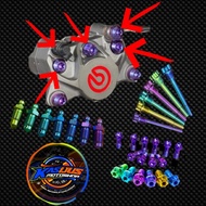 Brembo 2 piston Titan gr5 caliper bolts Brembo 2p Titan gr5 caliper molding bolts