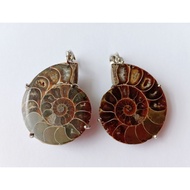Fossil Pendant - Ammonite 斑彩螺 吊坠 loket fosil