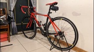 Fuji SL1-COMP 碳纖維公路車