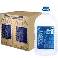 Cactus Natural Mineral Water 2 x 9.5Liter