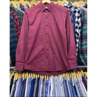 KEMEJA / crocodile shirt