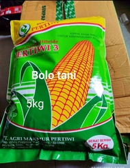 benih bibit jagung Hibrida pertiwi 3 isi kemasan 5kg original