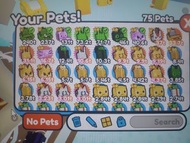 Pet Simulator X