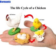 JOYEX Growth Cycle Model Kids Toy For Kid Butterfly Growth Cycle Plastic Models Insect Animals Spide