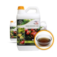 GDM Pupuk Organik Cair 5 Liter untuk Tanaman Buah