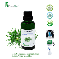Sanilair Cedar from Lebanon air freshener Organic gel เจลน้ำมันหอมระเหยปรับอากาศ ออร์แกนิค ซีด้าร์จา