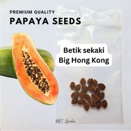 Betik Biji Benih | Papaya Seed | Big Hong Kong | 木瓜种子 | Fruits | Buah buahan | 水果 | Premium quality