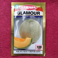 [Ready Stock] Rock Melon Sakata Sweet Glamour Melon F-1 Hiybrid Manis 100 Seed