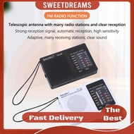 Portable Radio Battery Powered AM FM Radio Vintage Radio for Indoor Outdoor