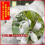 SOURCE Manufacturer Fruit Net Cover Pack Guava Insect-Proof Bag Guava Net Pocket Thickened Bag Packa