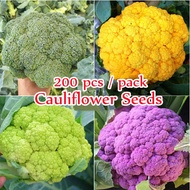 Ready Stock Mixed Varieties Cauliflower Seeds for Planting (200 Seeds Per Bag) Organic Gardening Veg