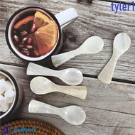 TYLER1 Teaspoon Ice Cream Conch Shell Coffee Scoop