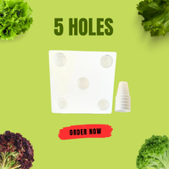 5 HOLES HYDROPONICS STYROFOAM GROWBOX READY TO USE KATANIM BOX (NO CUP INCLUDED)